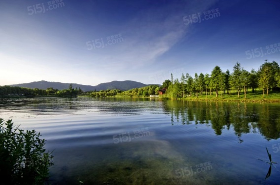 钟山峰景第10张图