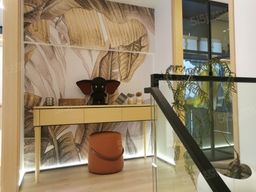 中邦拉普达第4张图