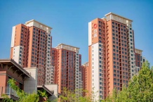 力高阳光海岸开发商营业执照相册