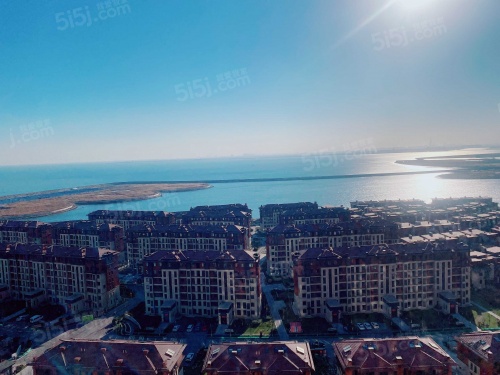 力高阳光海岸第1张图