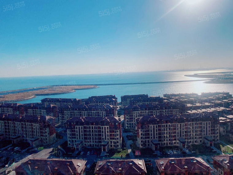 力高阳光海岸效果图