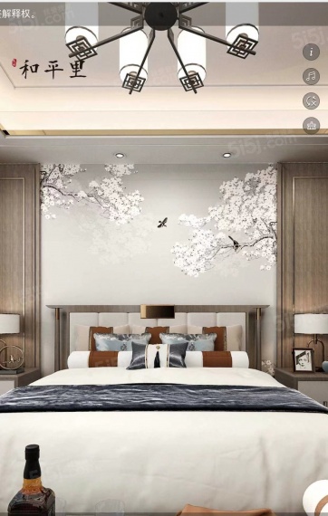 天成和平里样板间