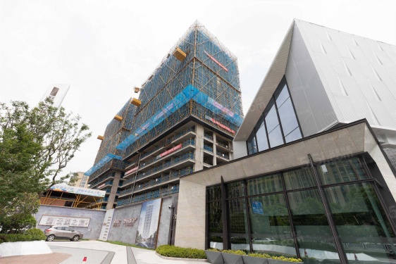 云望之宸第12张图