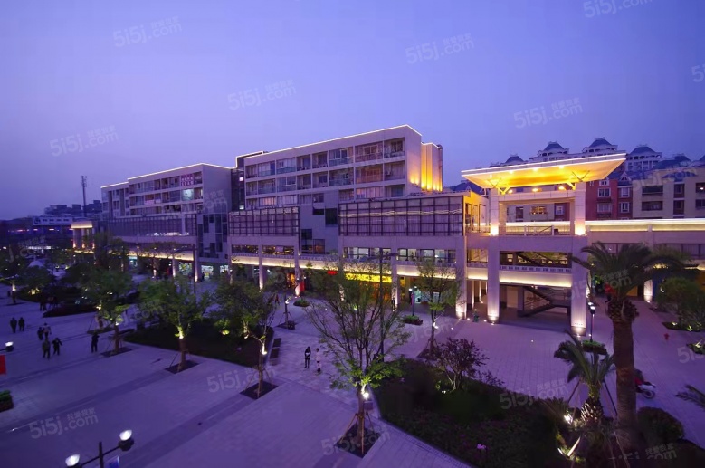 中环财富杰座配套图