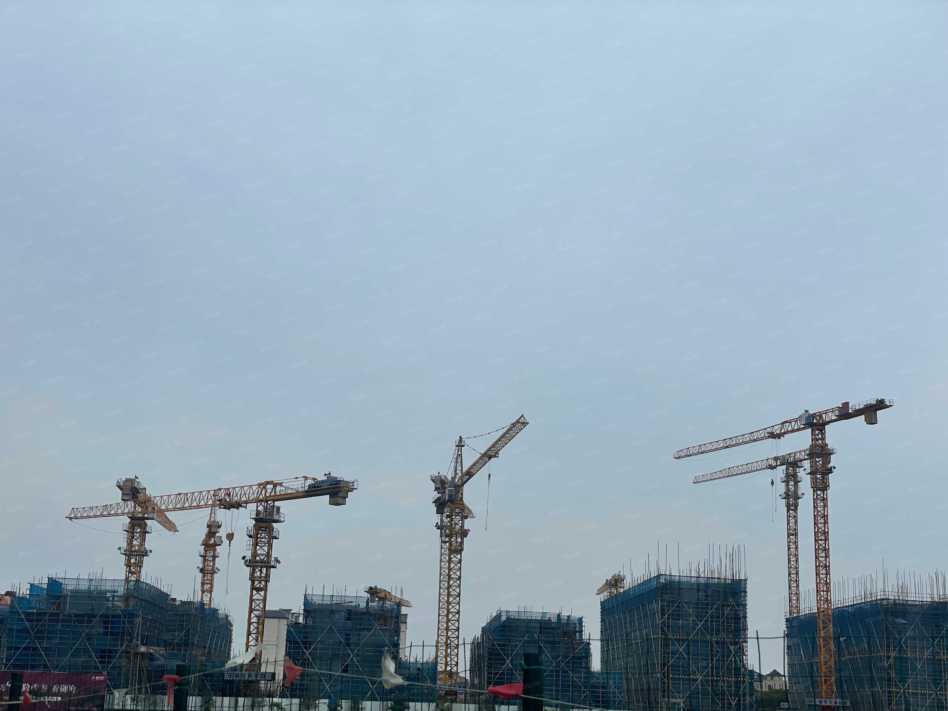 新华御著实景图
