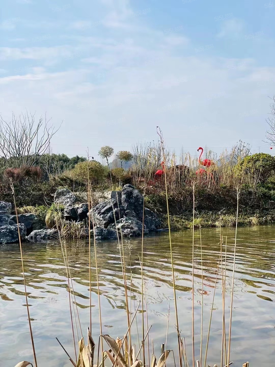 朗诗溪涧雅庐实景图