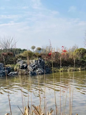 朗诗溪涧雅庐第12张图