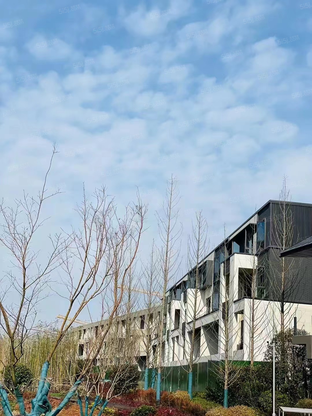 朗诗溪涧雅庐实景图