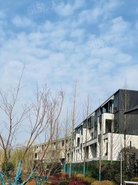 朗诗溪涧雅庐第11张图