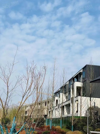 朗诗溪涧雅庐实景图