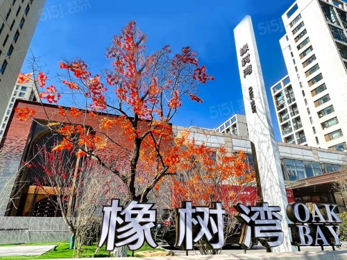 华润橡树湾第24张图