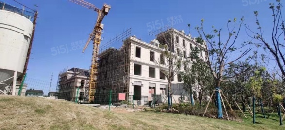 春申阳光第10张图