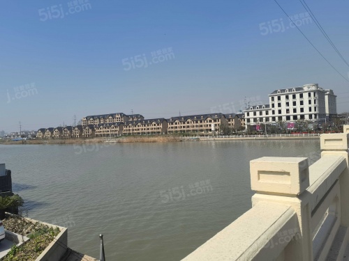 春申阳光第9张图