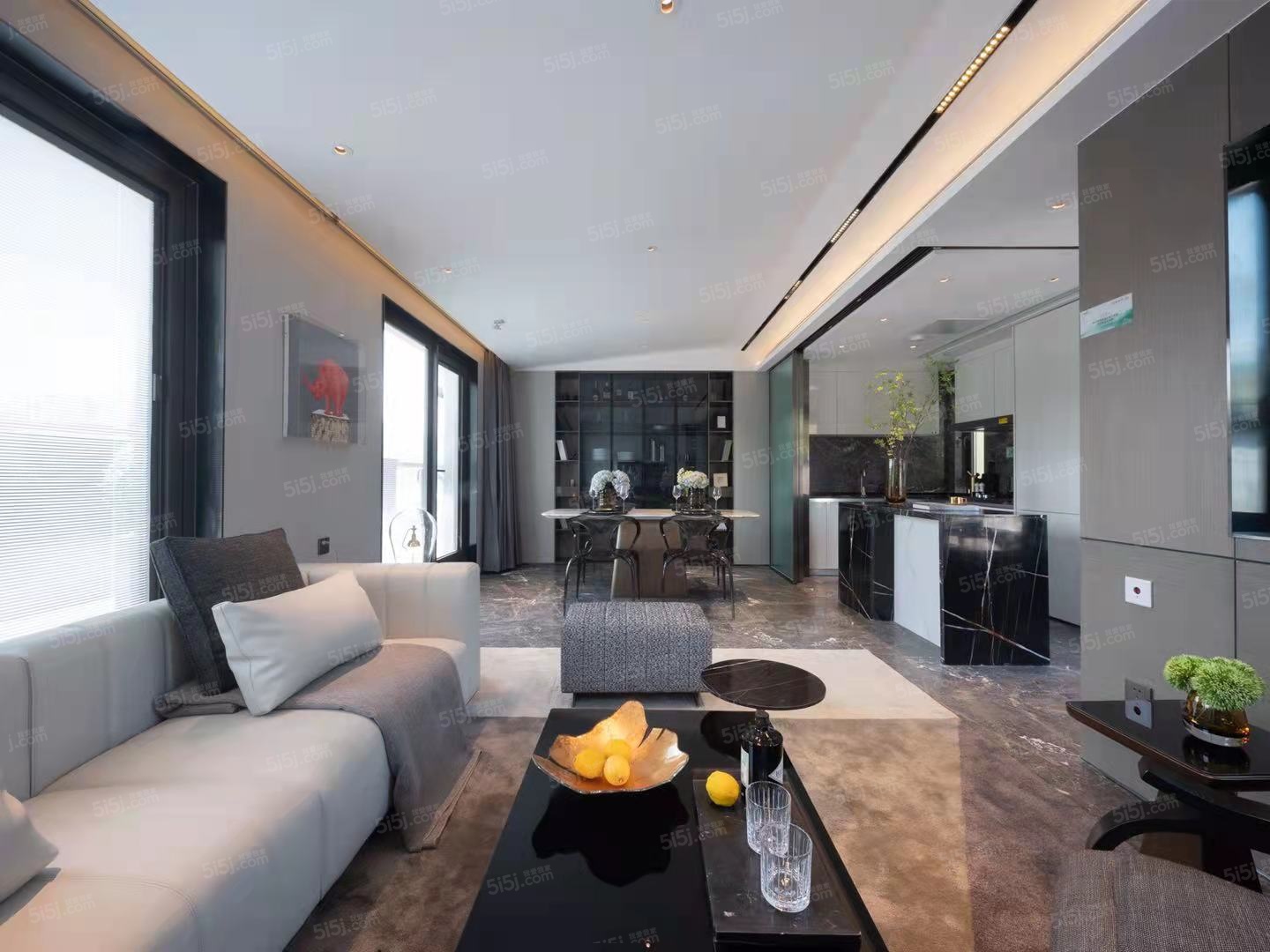 金科观天下样板间