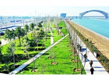 绿地新里城开发商营业执照相册