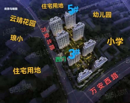楼栋