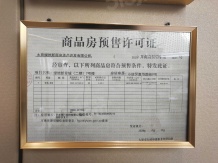 绿地新里城开发商营业执照相册