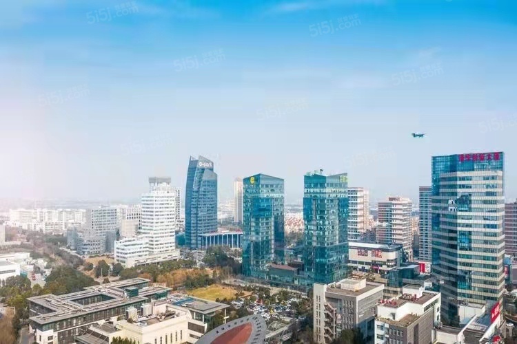 万科青藤公园配套图