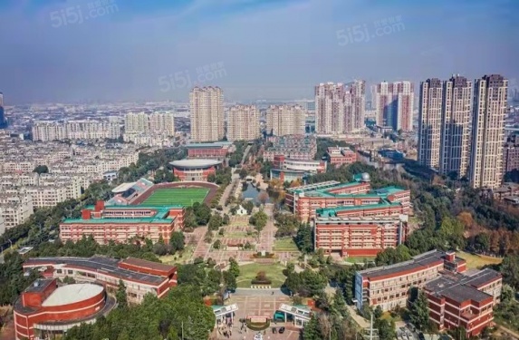 万科青藤公园第64张图