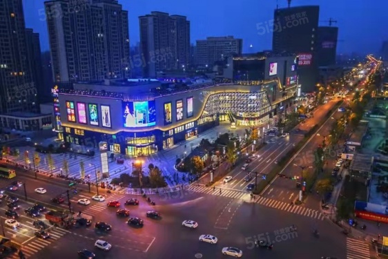 泰美国际第5张图