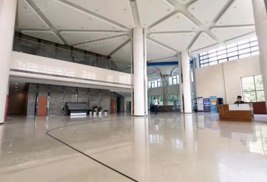 泰美国际第4张图