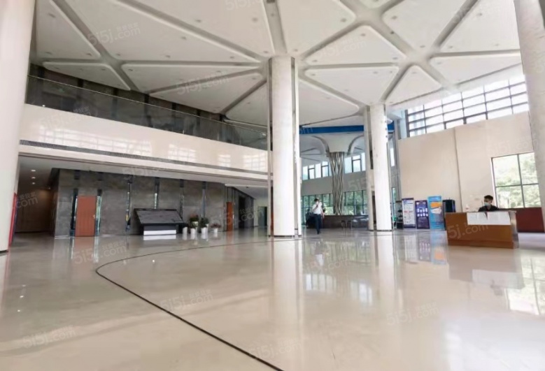 泰美国际实景图