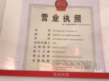 峯汇中心开发商营业执照相册