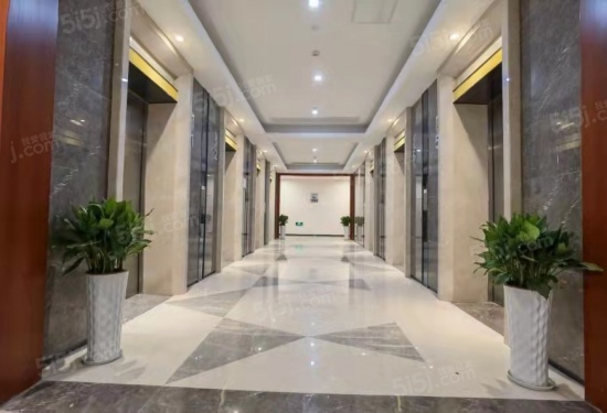 泰美国际第8张图