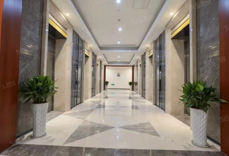 泰美国际项目现场