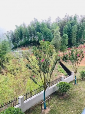 云山境第18张图