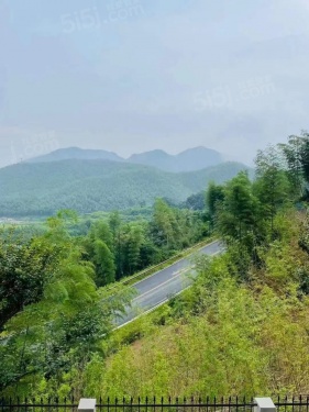 云山境第26张图