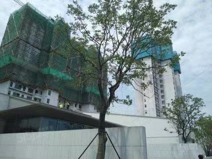 金科璀璨平江如苑实景图