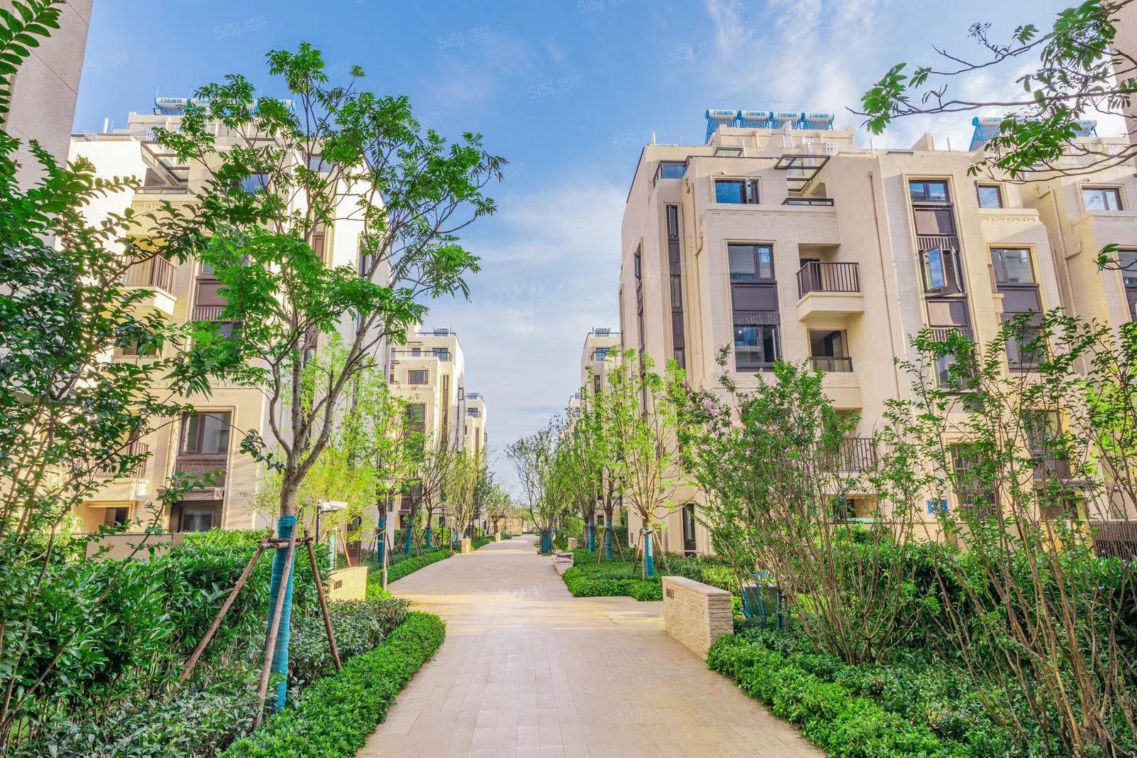 金茂逸墅实景图