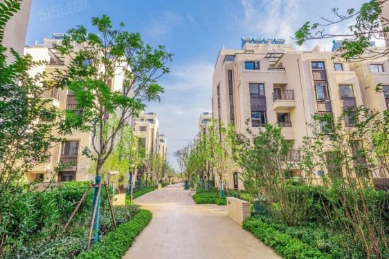 金茂逸墅第10张图