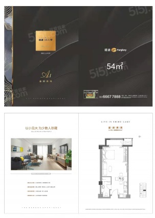 1室1厅1卫户型详情