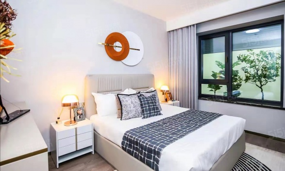 中绿东岳府第9张图