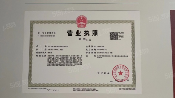 中绿东岳府第14张图