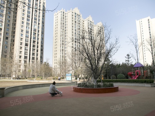 丽都壹号峯境第14张图