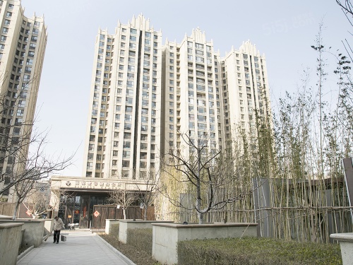 丽都壹号峯境第12张图