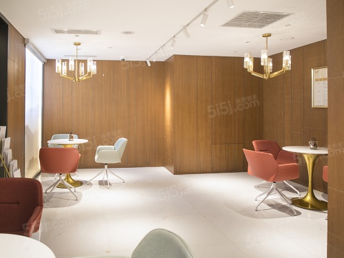 丽都壹号峯境第28张图