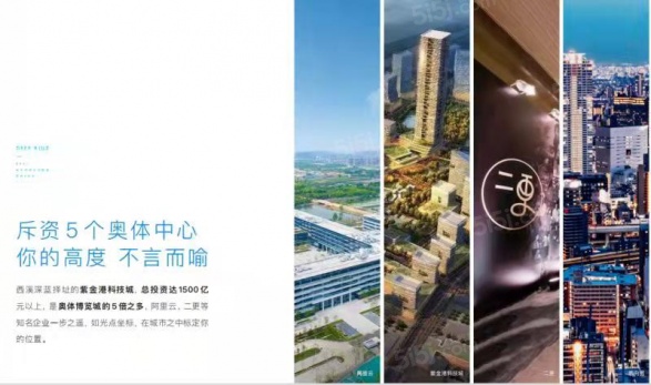 绿城西溪深蓝第16张图