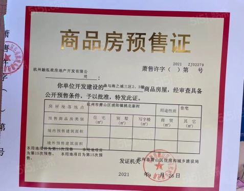 森与海第11张图