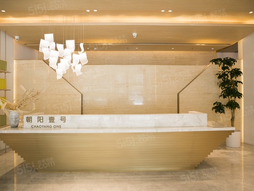 朝阳壹号第31张图