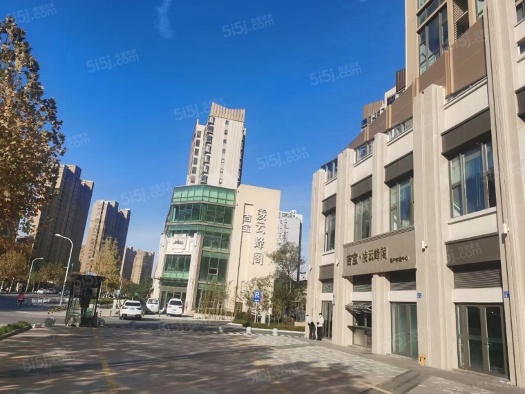 吉宝凌云峰阁（商业）实景图