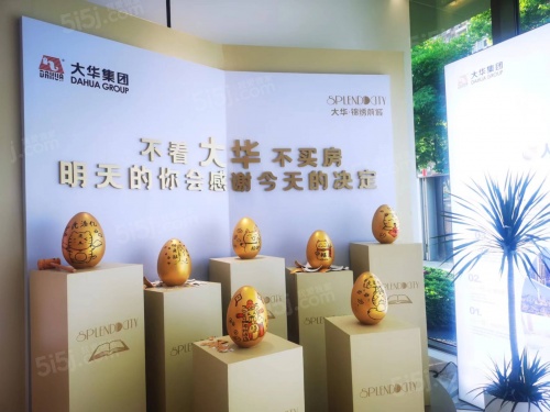 大华锦绣前城第25张图