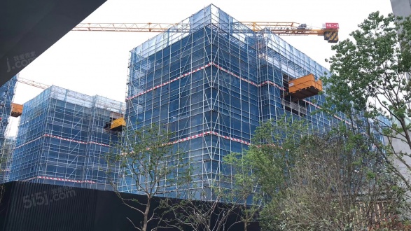 花语熙园第15张图