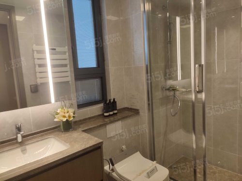 银城东望雅苑第12张图