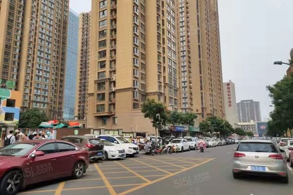 智诚·御河骏景实景图
