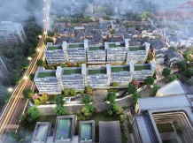 绿城吉祥里开发商营业执照相册