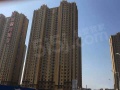 智诚德商住楼实景图相册大图